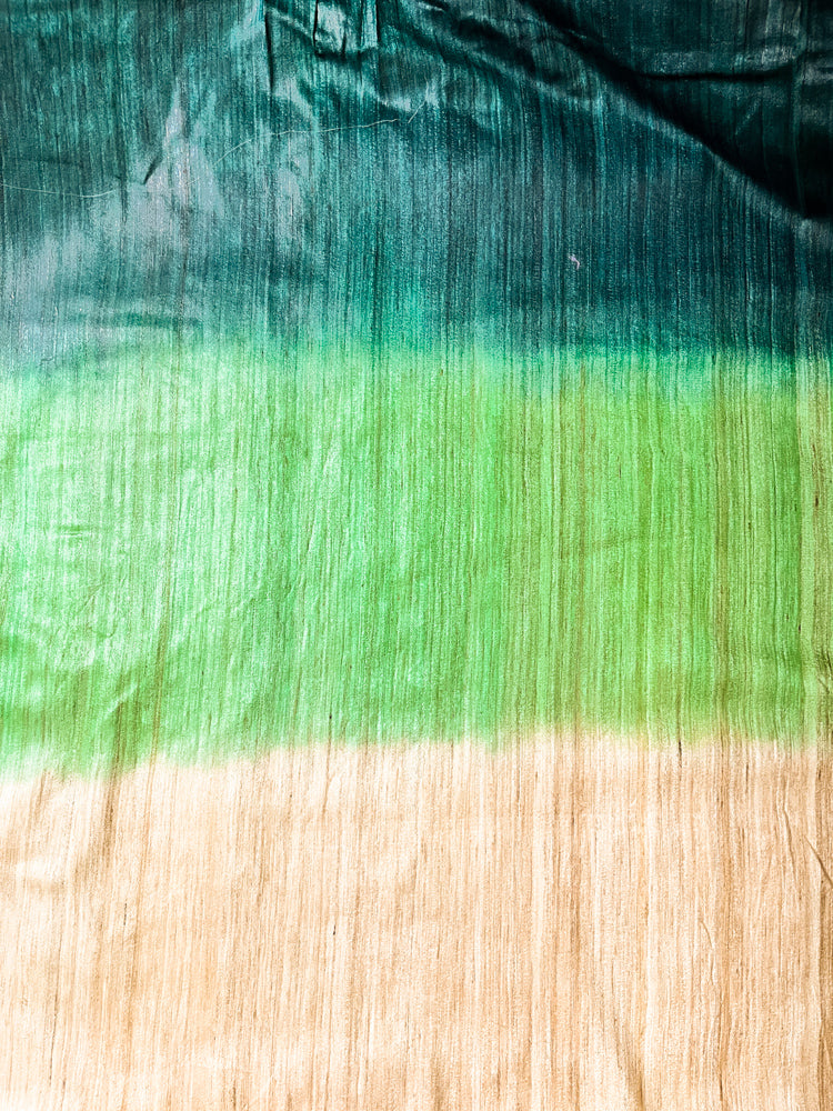 Bhagalpuri Handloom Pure Tussar Silk Saree-Multicolor