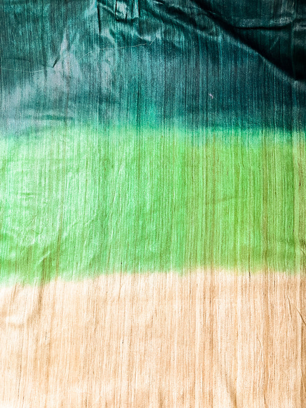 Bhagalpuri Handloom Pure Tussar Silk Saree-Multicolor