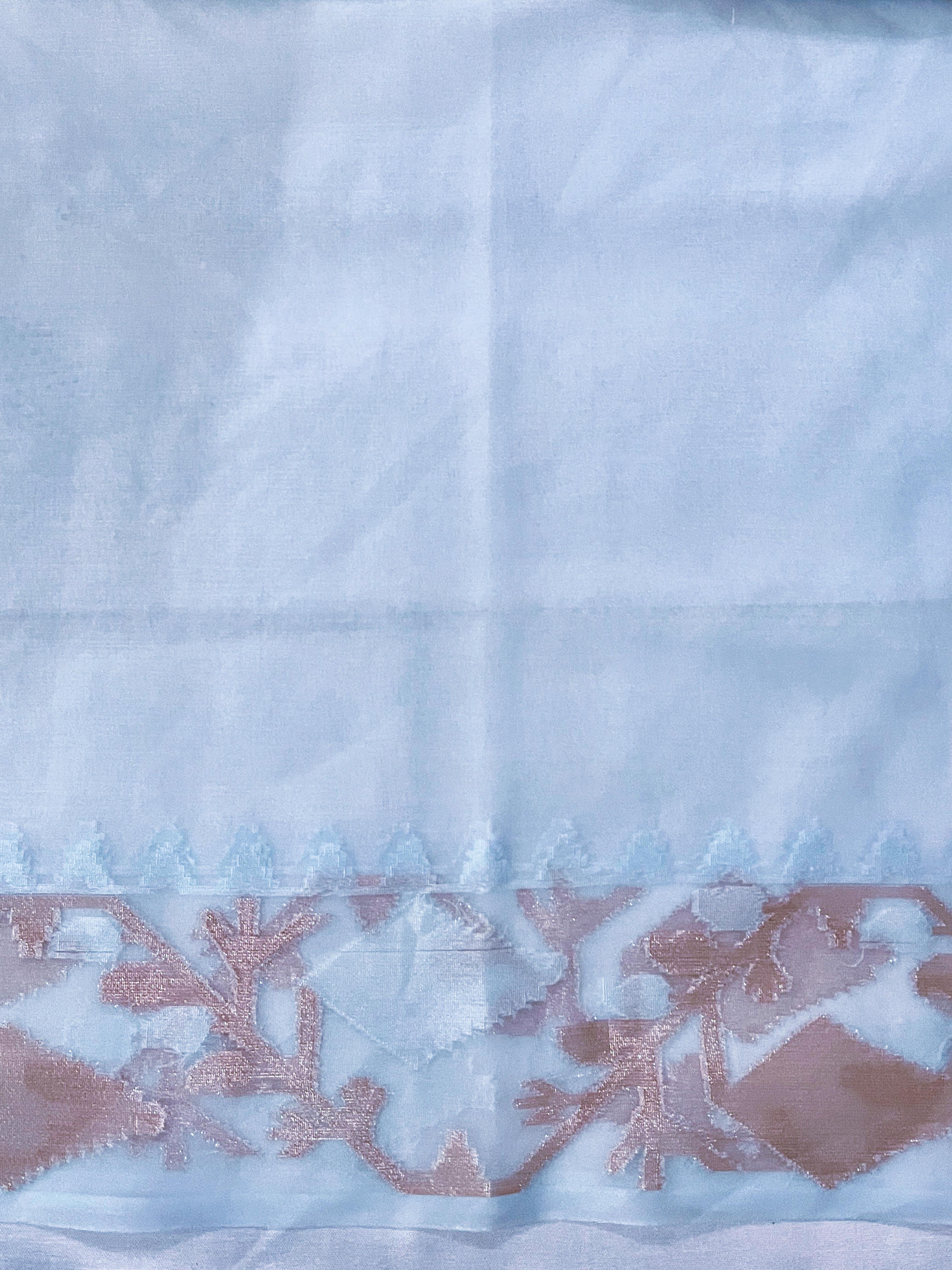 Banarasee Dual Color Organza Mix Saree With Resham & Zari Work-Light Blue & White