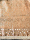 Banarasee Tissue Hand Embroidered Mirror Work Saree With Ghungroo Work & Zari Woven Pallu-Brown