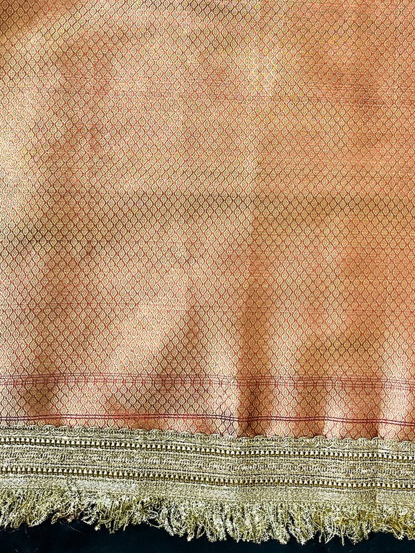 Banarasee Tissue Saree With Hand Embroidered Mirror Work Pearl Motifs & Zari Woven Pallu-Red