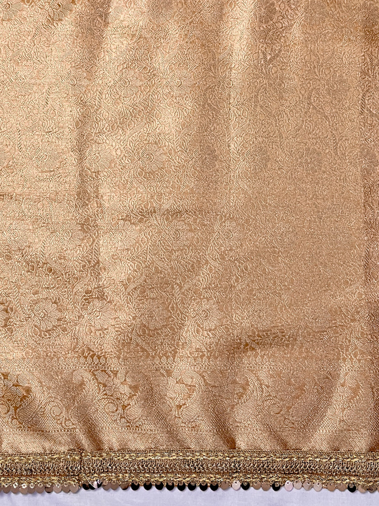 Banarasee Tissue Hand Embroidered Mirror Work Saree-Rust Orange