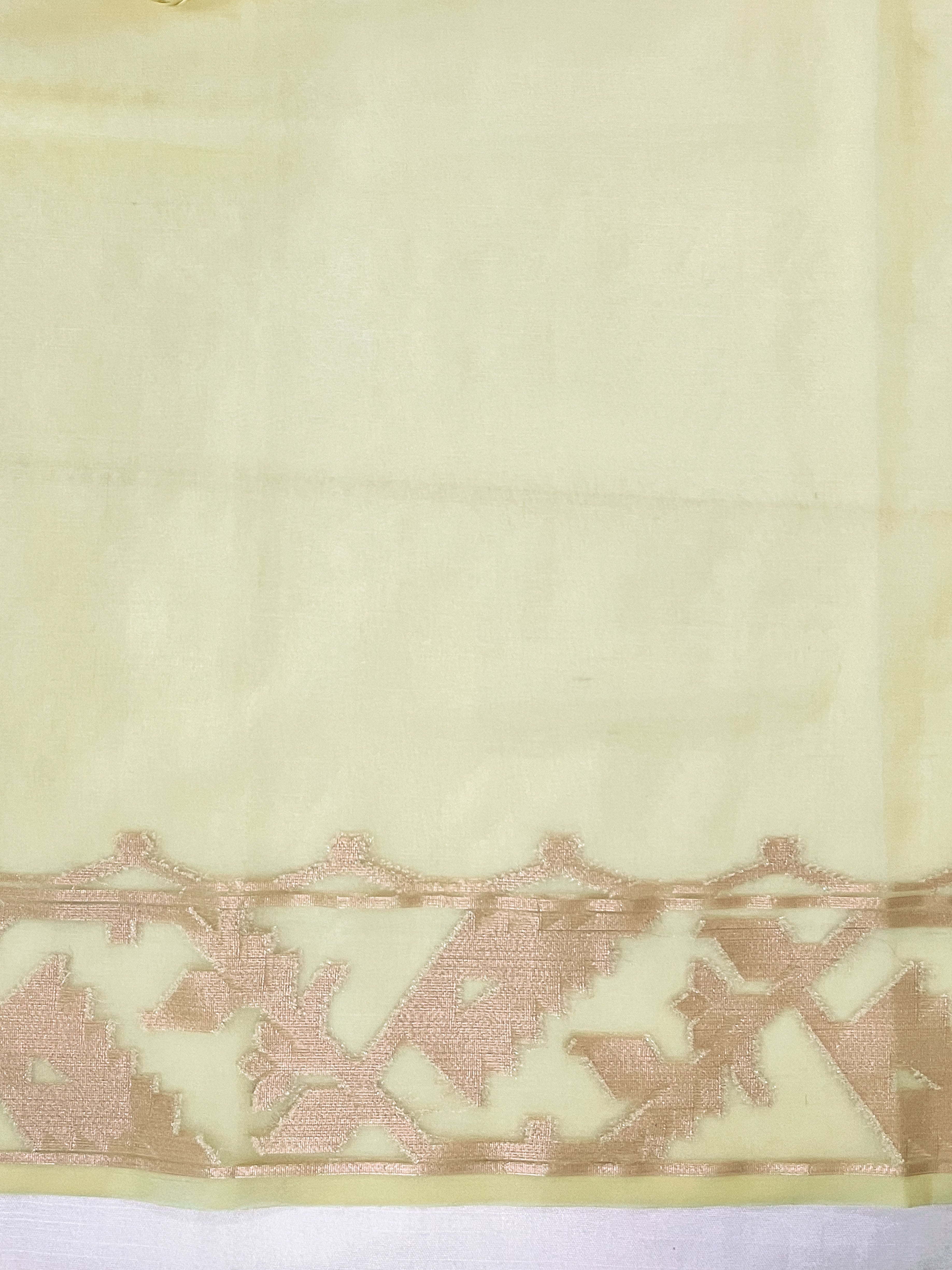 Banarasee Dual Color Organza Saree With Zari Jaal Design-Light Yellow & Light Blue