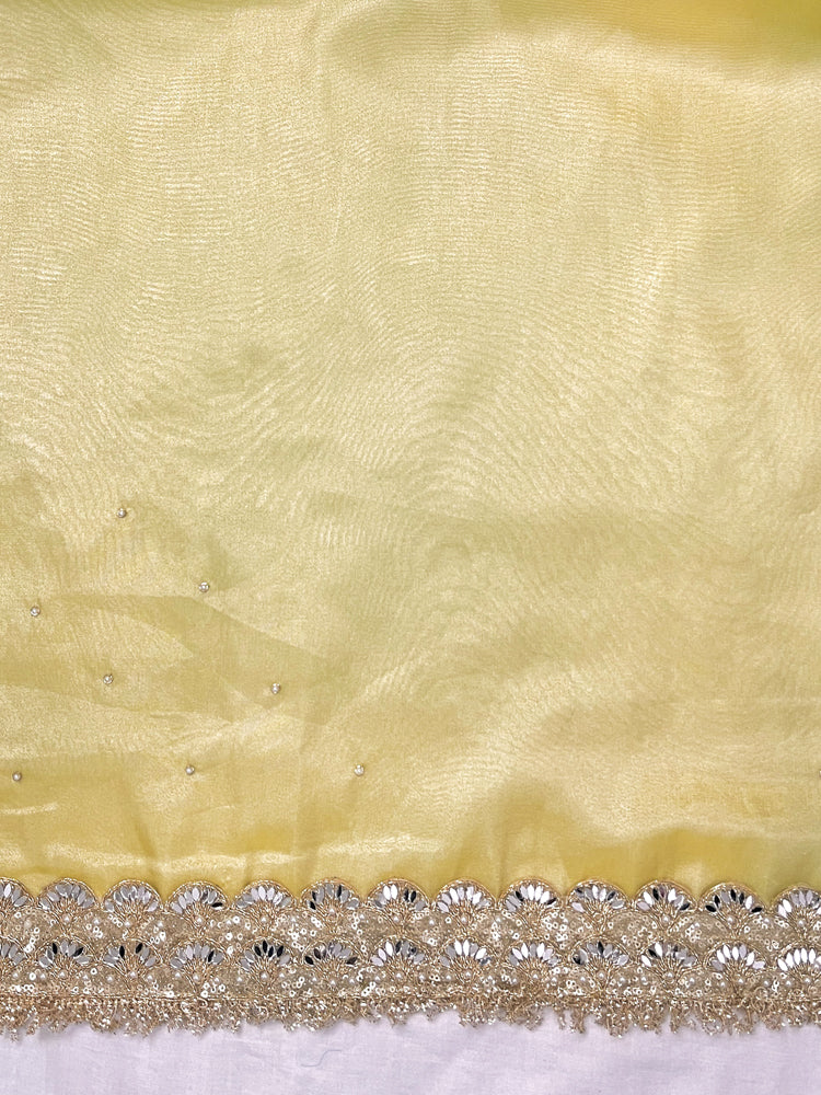 Banarasee Tissue Saree With Handwork Motifs & Mirror Work Lace-Light Yellow
