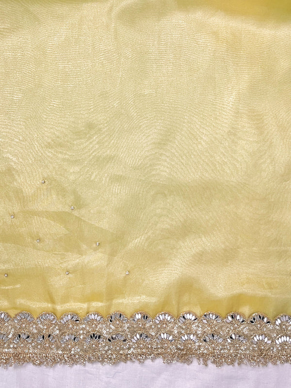 Banarasee Tissue Saree With Handwork Motifs & Mirror Work Lace-Light Yellow