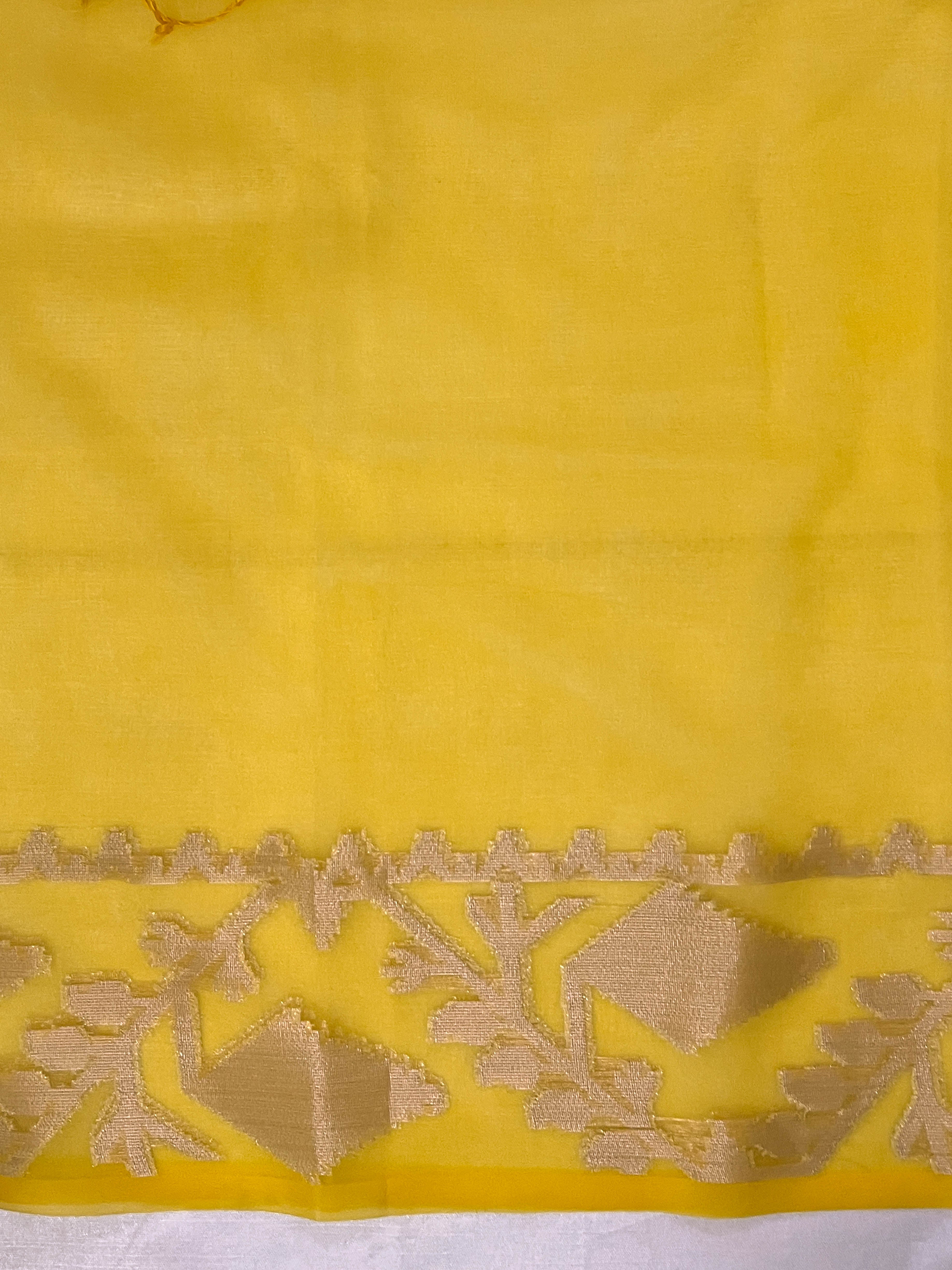 Banarasee Dual Color Organza Mix Saree With Zari Work-Yellow (Dual Tone)