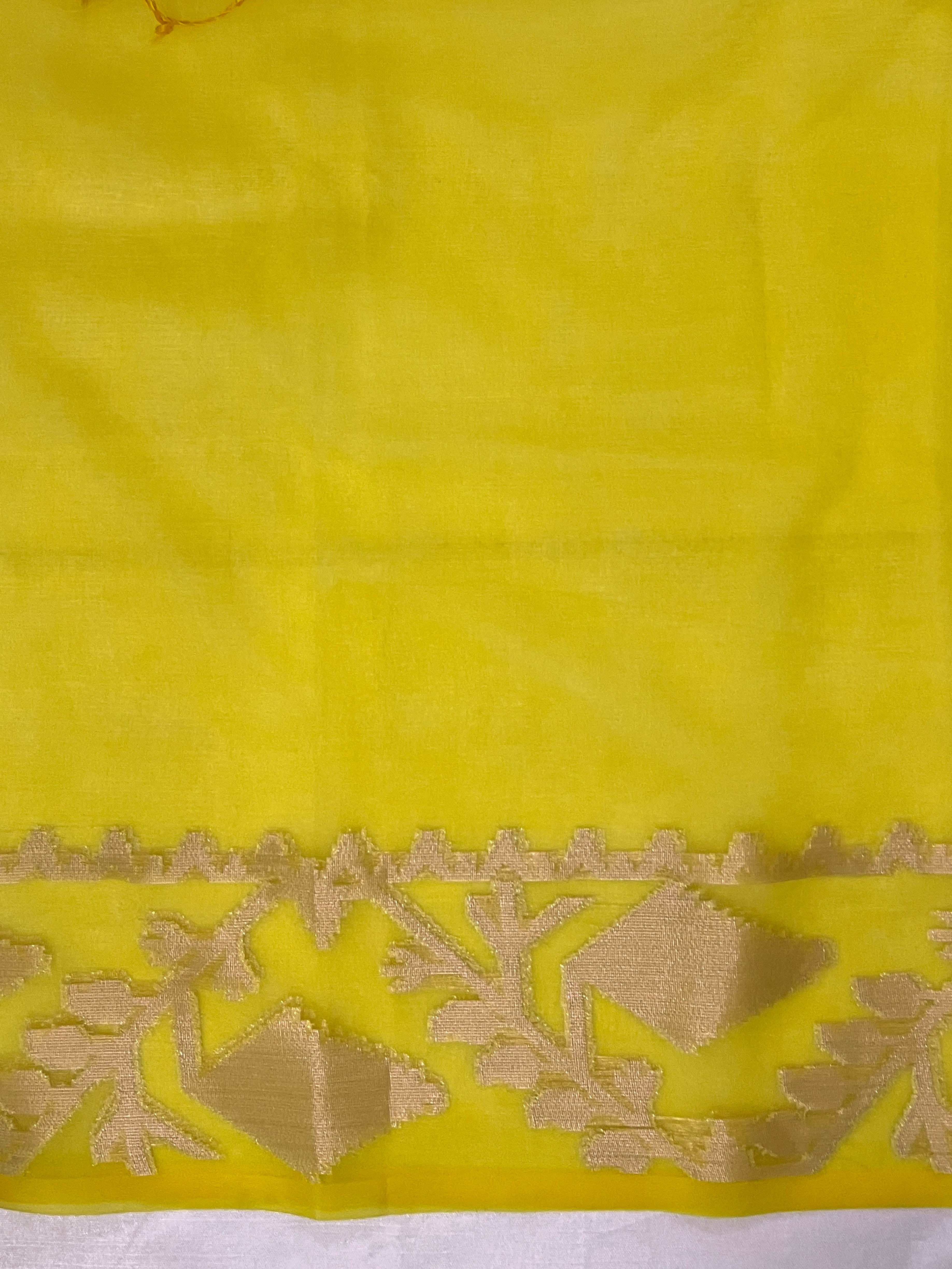 Banarasee Dual Color Organza Saree With Resham & Zari Work-Off White & Yellow