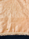 Banarasee Tissue Hand Embroidered Mirror Work Saree With Zari Resham & Ghungroo Work-Peach