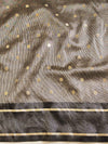 Banarasee Organza Saree With Zari Buti & Satin Border-Black