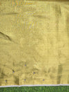 Banarasee Tissue Saree With Hand Embroidered Cutdana Work & Pearl Motifs-Gold & Silver