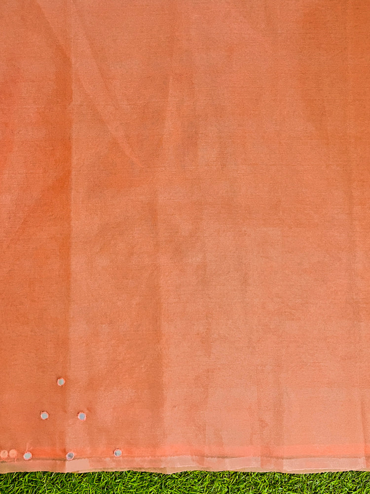 Banarasee Handwoven Organza Mix Saree With Mirror Work-Peach