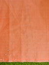 Banarasee Handwoven Organza Mix Saree With Mirror Work-Peach