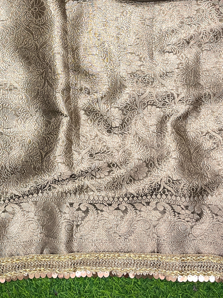 Banarasee Tissue Hand Embroidered Mirror Work Saree-Earthy Brown