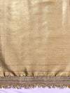 Banarasee Tissue Zari Saree With Handwork Pearl Motifs & Mirror Work-Grey (Blue Tone)