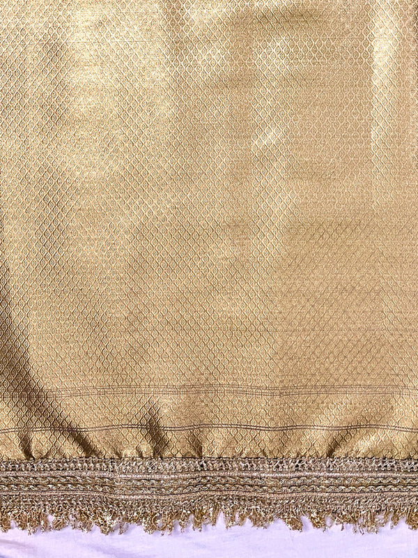 Banarasee Tissue Zari Saree With Handwork Pearl Motifs & Mirror Work-Grey (Blue Tone)