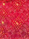 Banarasee Printed Handwork Chiffon Saree-Red