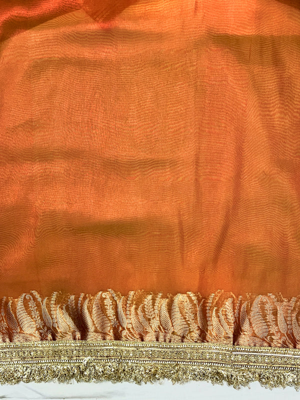 Banarasee Handloom Plain Tissue Saree With Zari Border & Lace-Rust