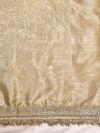 Banarasee Dual Color Tissue Saree With Digital Prints & Lace-Gold & Silver