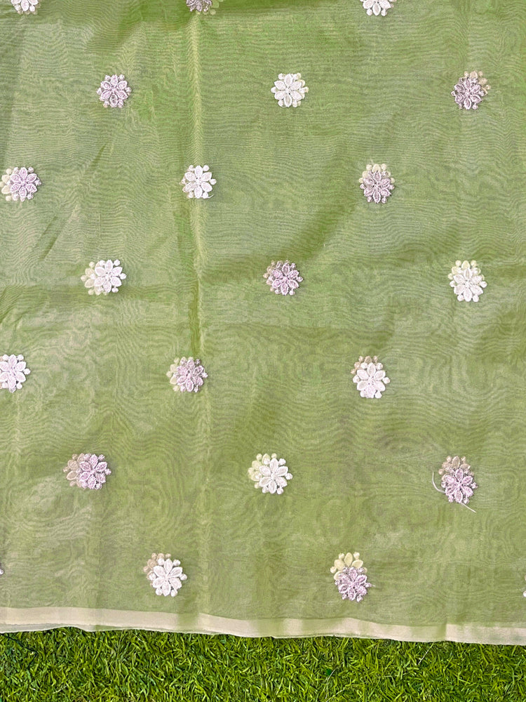 Banarasee Handloom Organza Saree With Resham Zari Work & Scallop Border-Light Green