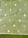 Banarasee Handloom Organza Saree With Resham Zari Work & Scallop Border-Light Green