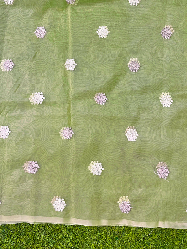 Banarasee Handloom Organza Saree With Resham Zari Work & Scallop Border-Light Green