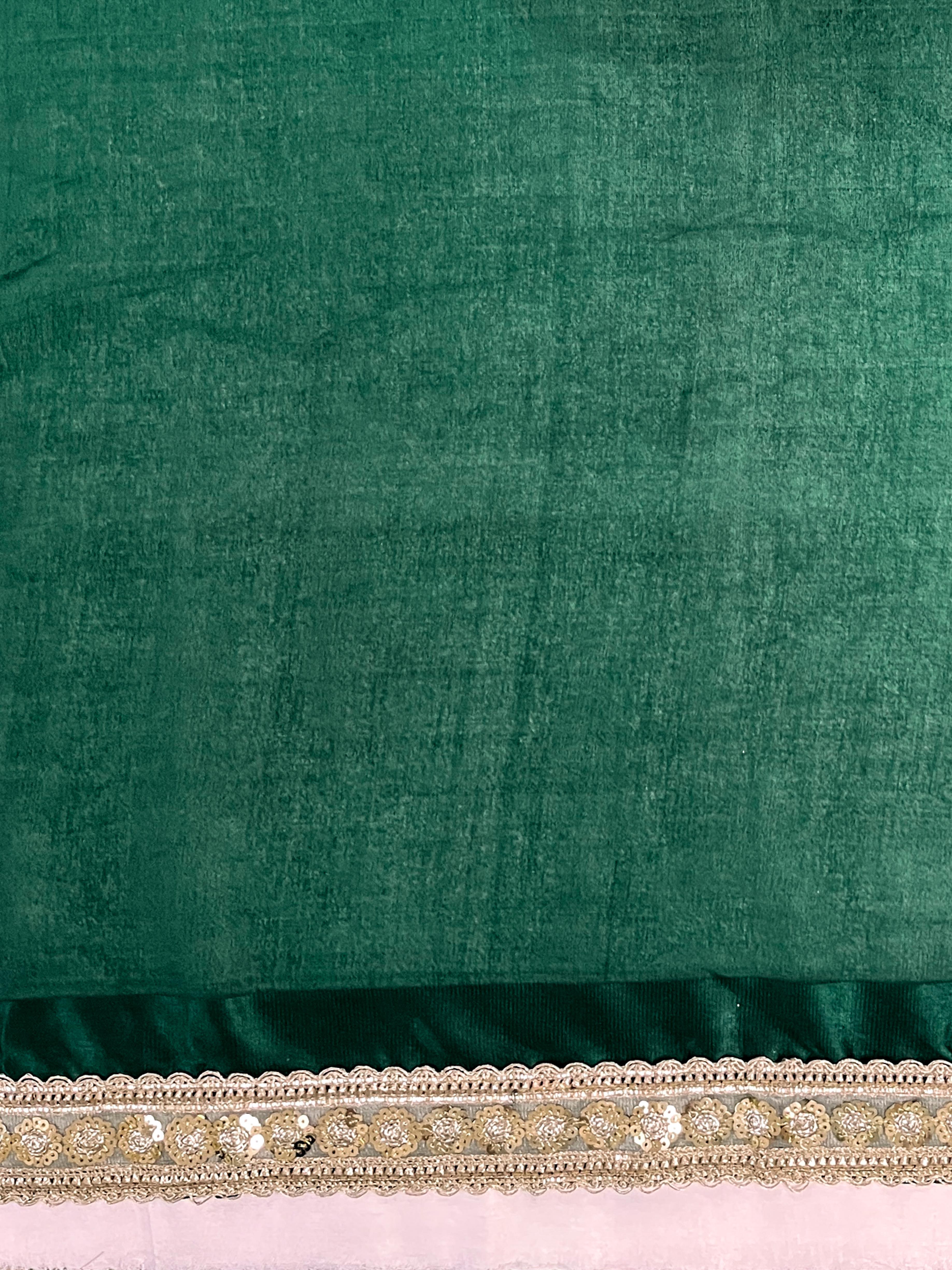 Banarasee Handloom Plain Tissue Saree With Lace Border-Green