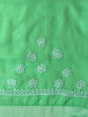 Banarasee Handwoven Georgette Saree With Chikankari Work-Light Green