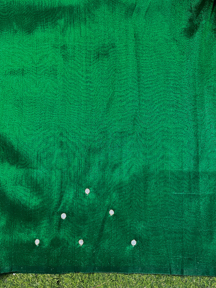 Banarasee Handwoven Tissue Saree With Floral Motifs & Mirror Work-Green