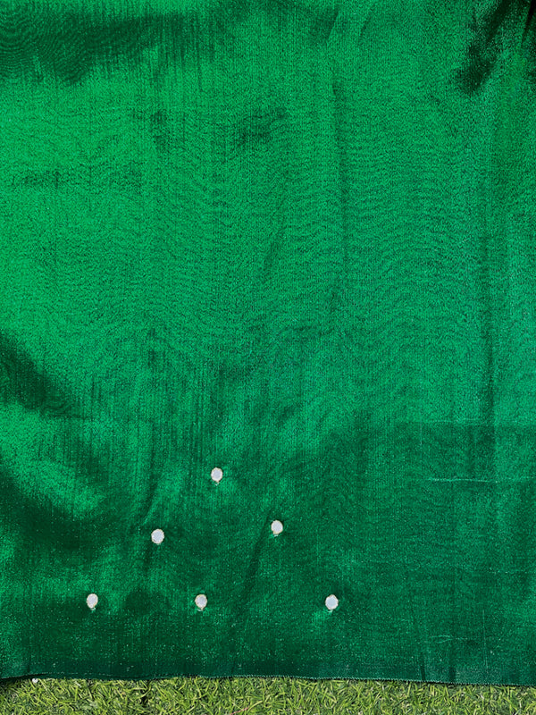 Banarasee Handwoven Tissue Saree With Floral Motifs & Mirror Work-Green