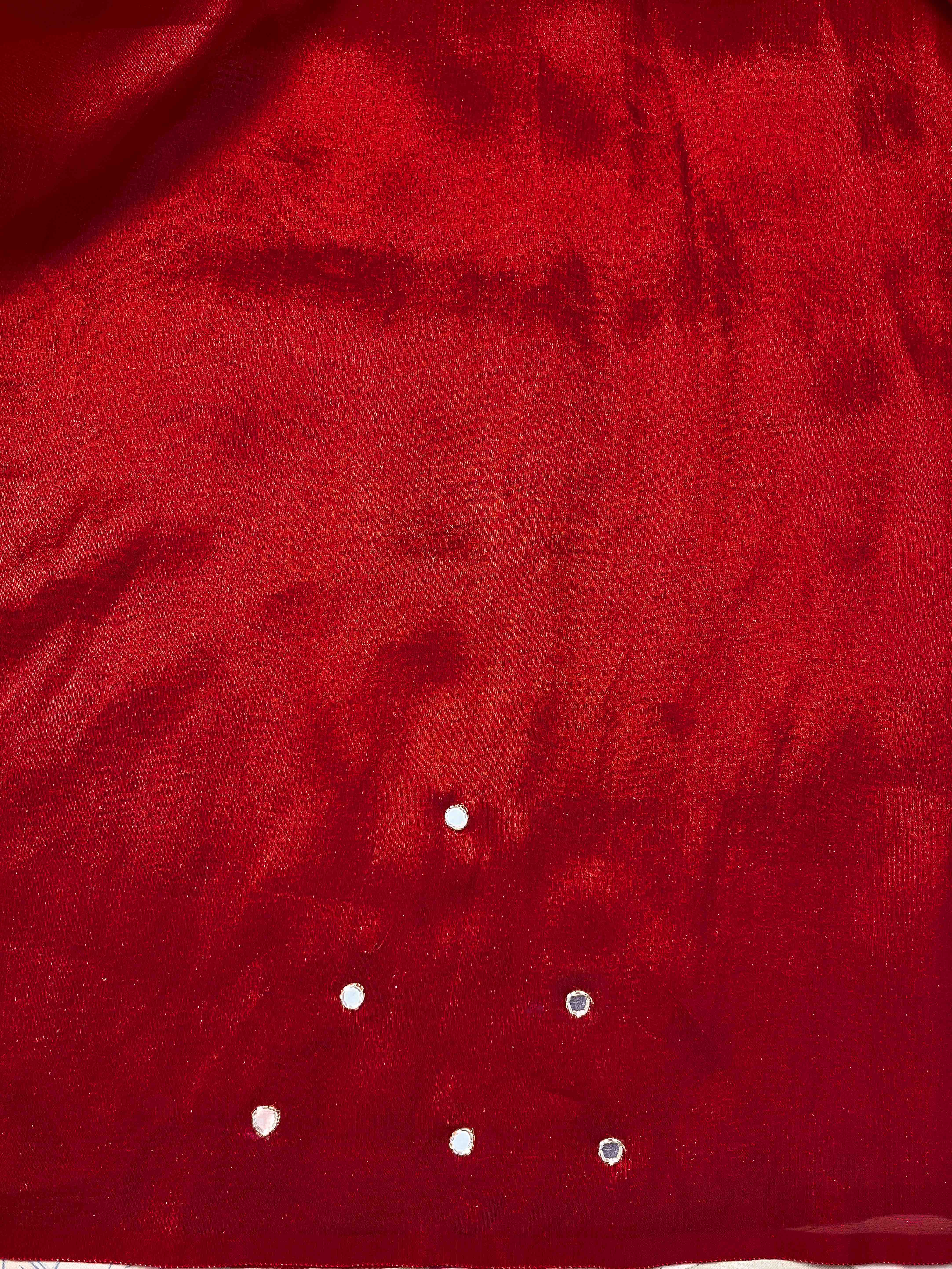 Banarasee Handwoven Tissue Saree With Floral Motifs & Mirror Work-Deep Red