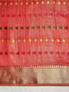 Banarasee Handloom Tissue Saree With Thread Embroidery & Contrast Pallu-Gold & Red