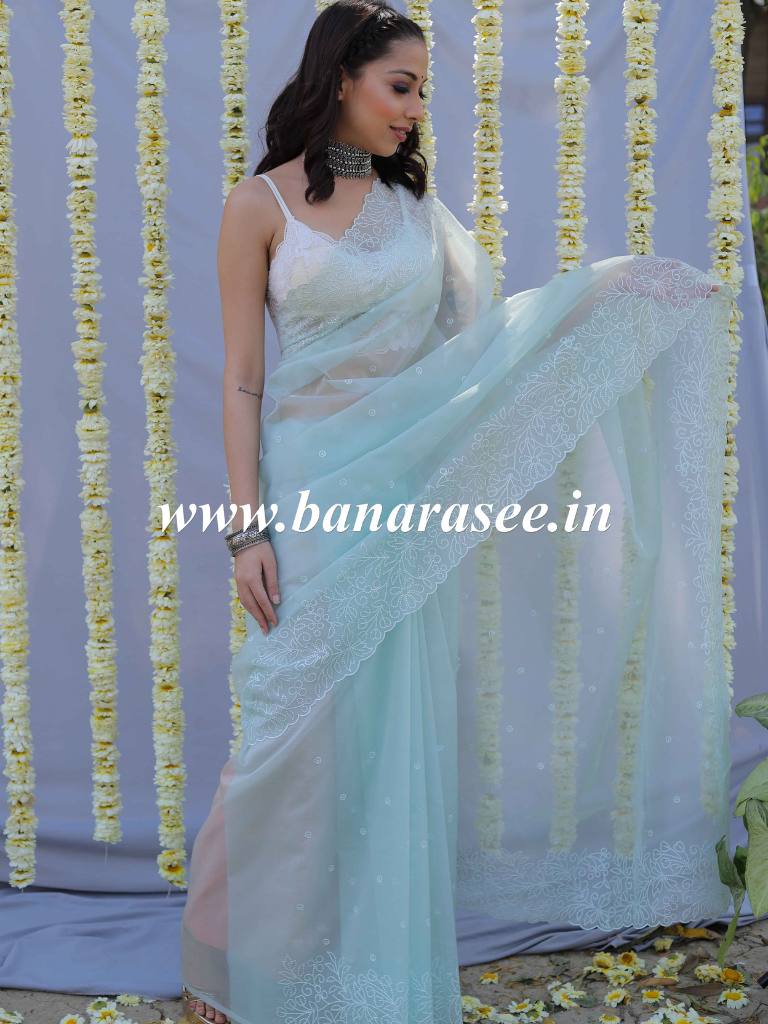 Banarasee Handwoven Organza Silk Floral Embroidered Saree-Pastel Green