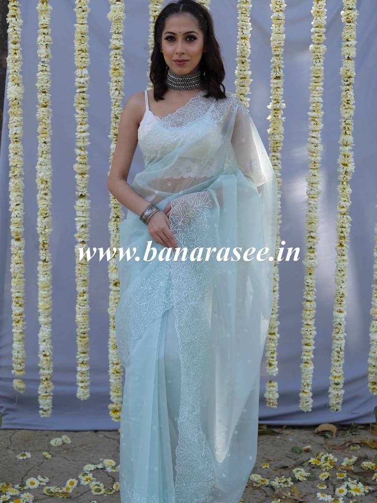 Banarasee Handwoven Organza Silk Floral Embroidered Saree-Pastel Green