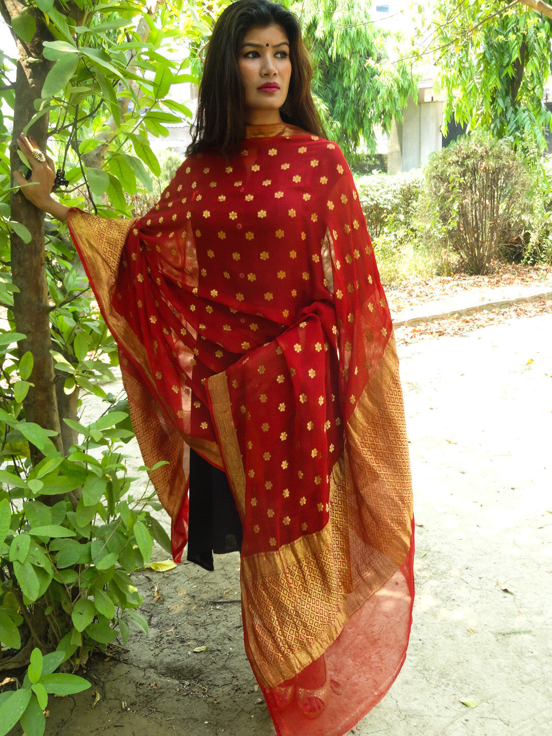 Banarasi/ Banarasee Handwoven Khaddi Georgette Dupatta-Brick Red