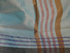 Banarasee Tissue Saree- Blue