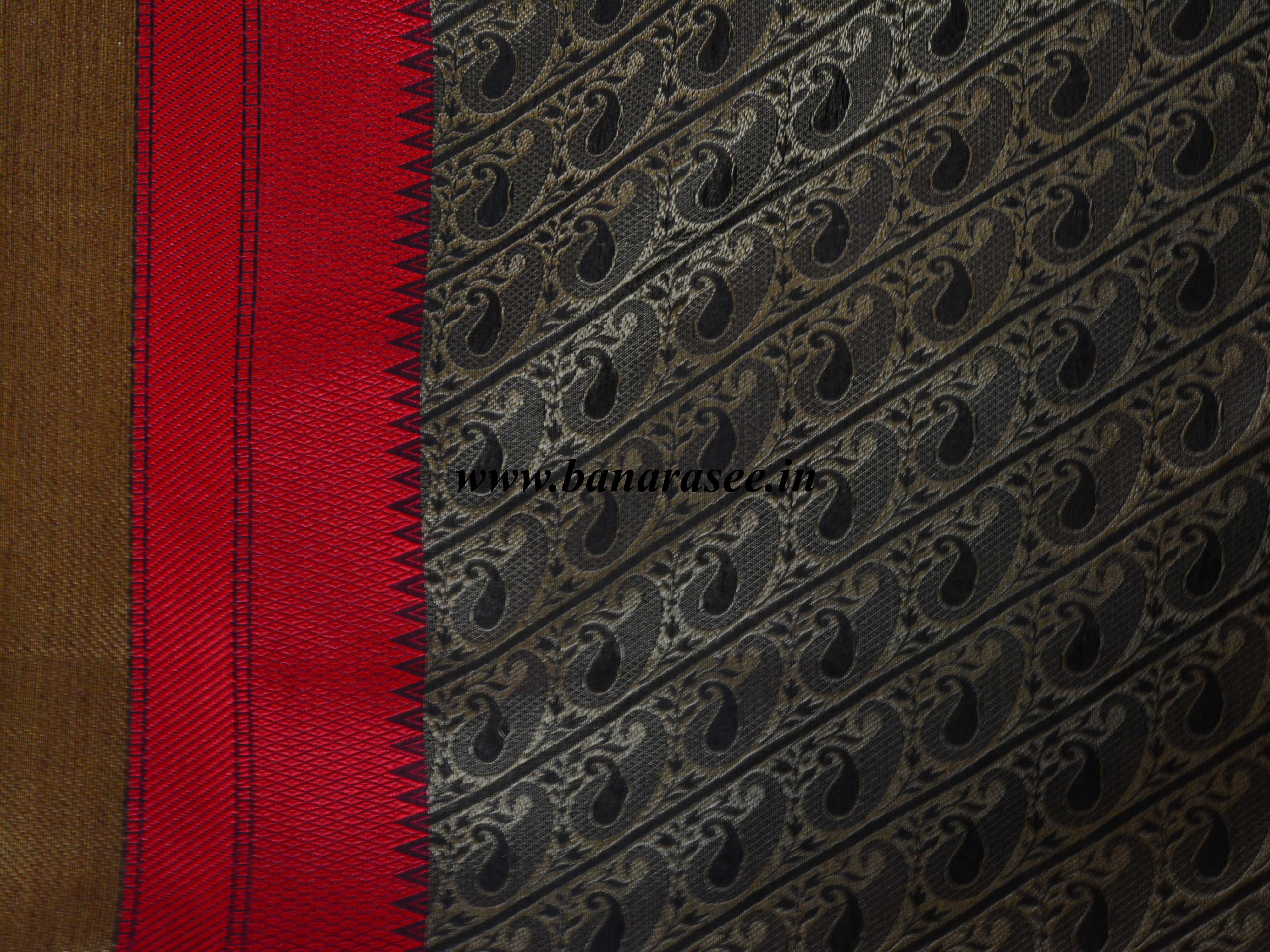 Banarasee Cotton Silk Tanchoi Weave Saree With Paisley Zari & Resham Border-Brown
