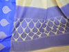 Banarasee Pure Soft Cotton Saree With Blue Leaf Motif Border- Off-White