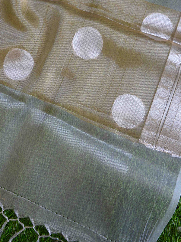 Banarasee Handwoven Broad Border Polka Dot Tissue Saree-Silver