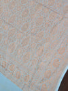 Banarasee Pure Khaddi Chiffon Silk Sari With Antique Zari Buta Design-Aqua Blue & Deep Blue Blouse