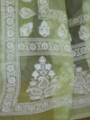 Banarasee Handwoven Organza Silk Floral Embroidery Saree-Light Green