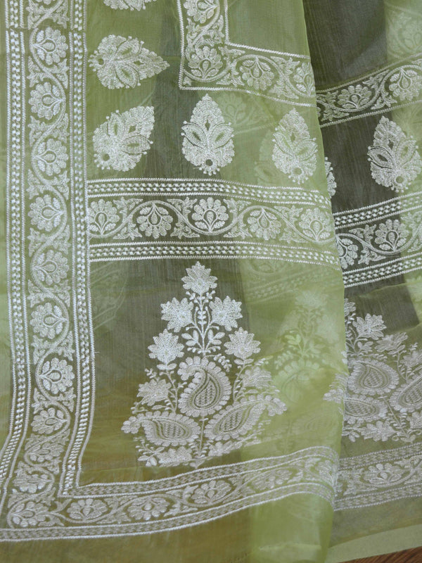 Banarasee Handwoven Organza Silk Floral Embroidery Saree-Light Green