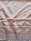 Banarasee Handwoven Semi-Chiffon Saree With Silver Zari Jaal-Peach