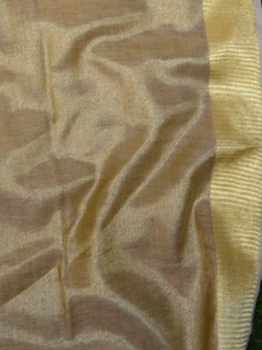 Banarasee Handloom Pure Linen By Tissue Saree With Green Brocade Blouse-Gold