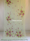 Banarasee Pure Organza Silk Saree With Hand-Paint Floral Design-Mint Green