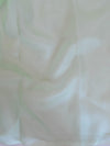 Banarasee Pure Organza Silk Saree With Hand-Paint Floral Design-Mint Green