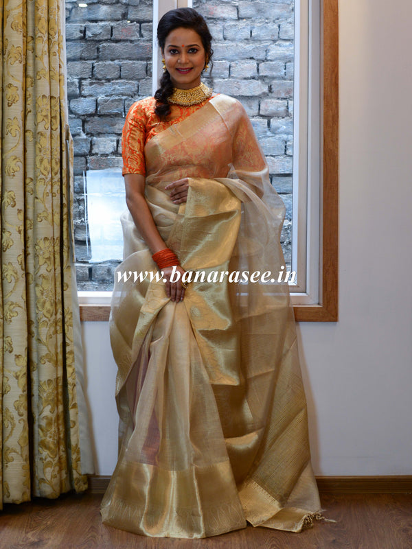 Banarasee Handwoven Broad Border Tissue Saree-Silver &  Gold