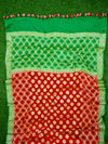 Banarasee Chiffon Zari Jaal Saree-Red & Green