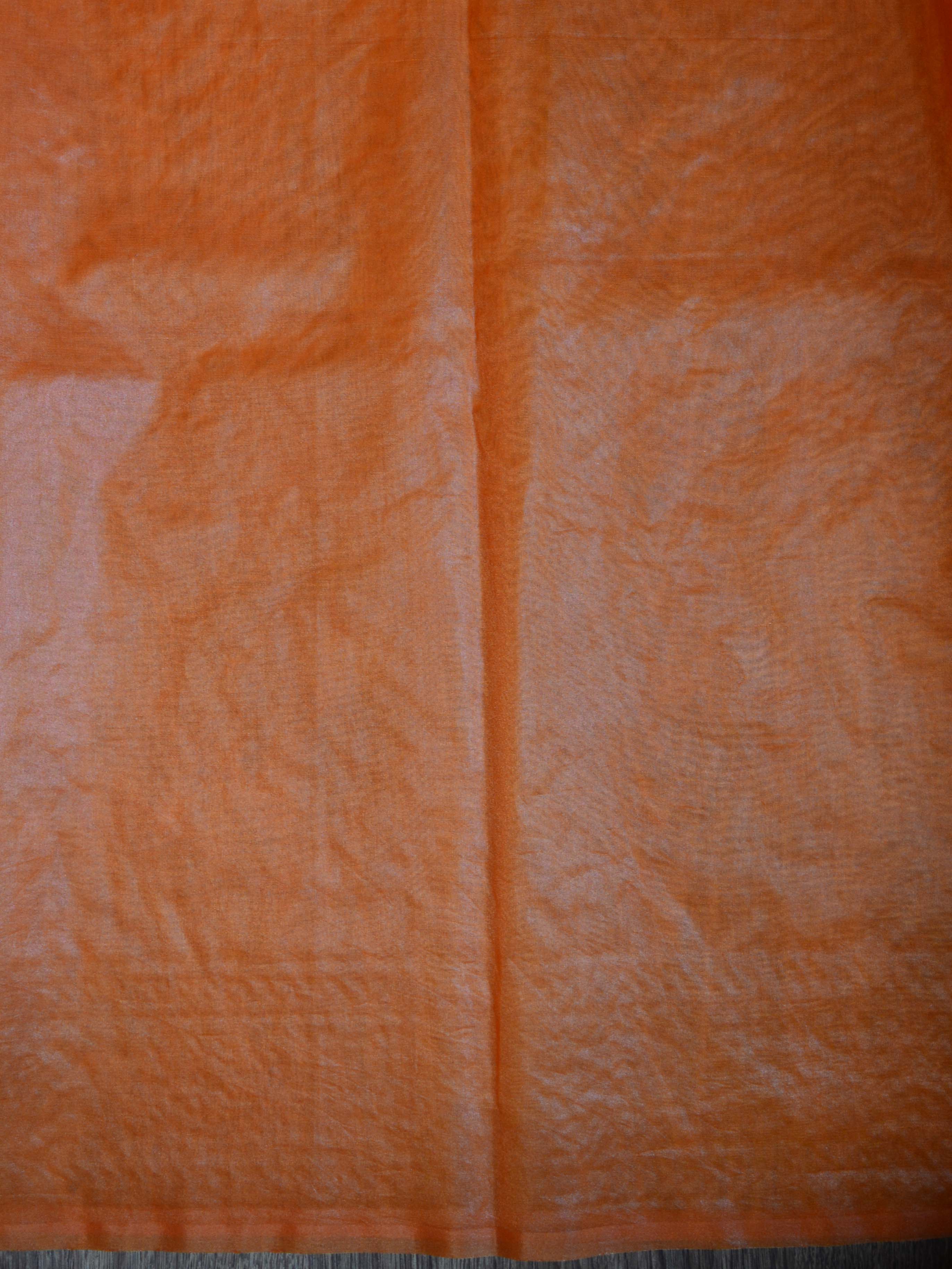 Banarasee Handwoven Organza Silk Multicolour Resham Floral Embroidery Saree-Orange