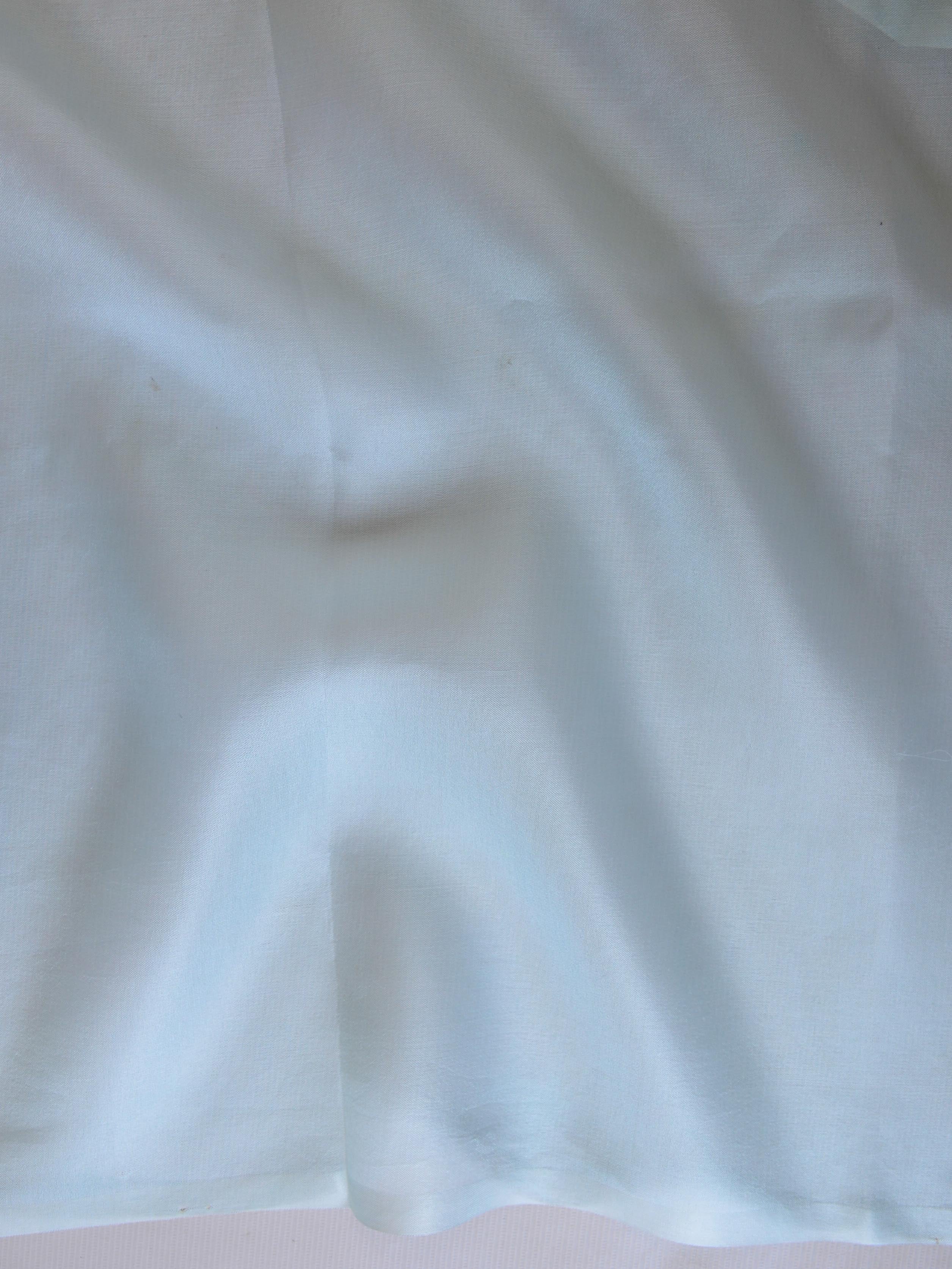 Banarasee Pure Organza Silk Saree With Hand-Paint Floral Design-Sky Blue