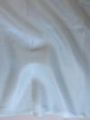 Banarasee Pure Organza Silk Saree With Hand-Paint Floral Design-Sky Blue